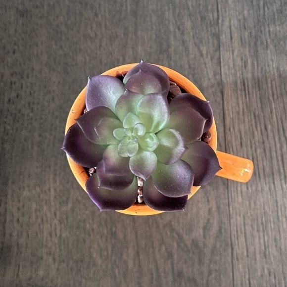 Thanksgiving Give Thanks Faux Succulant - Picture 2 of 3